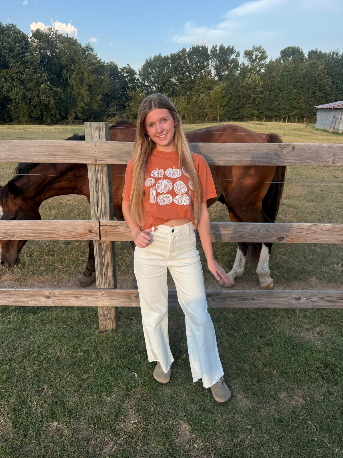 Gold and White Pumpkin, Comfort Color tee
