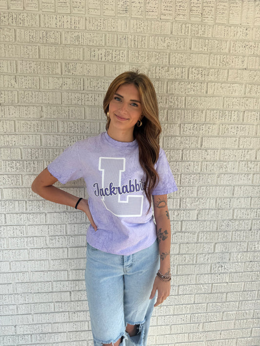 Gingham Jackrabbit Color Blast Comfort Colors T Shirt