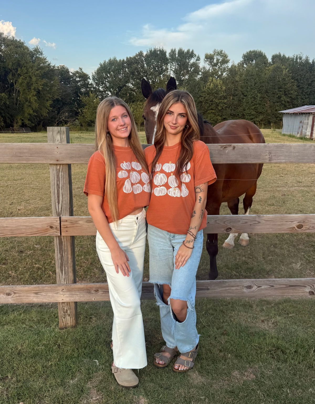 Gold and White Pumpkin, Comfort Color tee